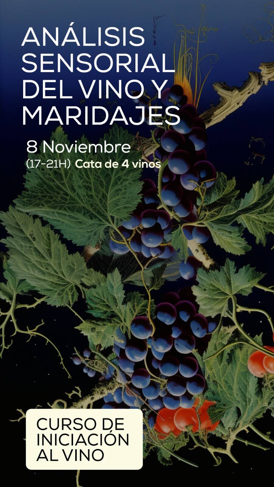 Eventos Masterclass Análisis Sensorial y Maridajes EnoValencia - Cata, eventos y venta de vino 3