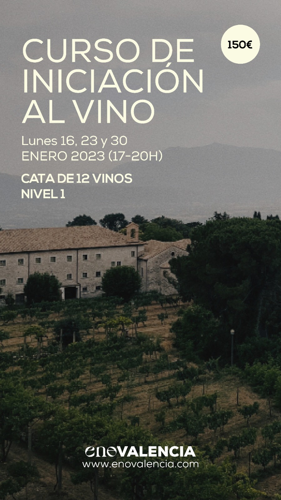 Eventos Curso de iniciación al vino Nivel 1 EnoValencia - Cata, eventos y venta de vino 9