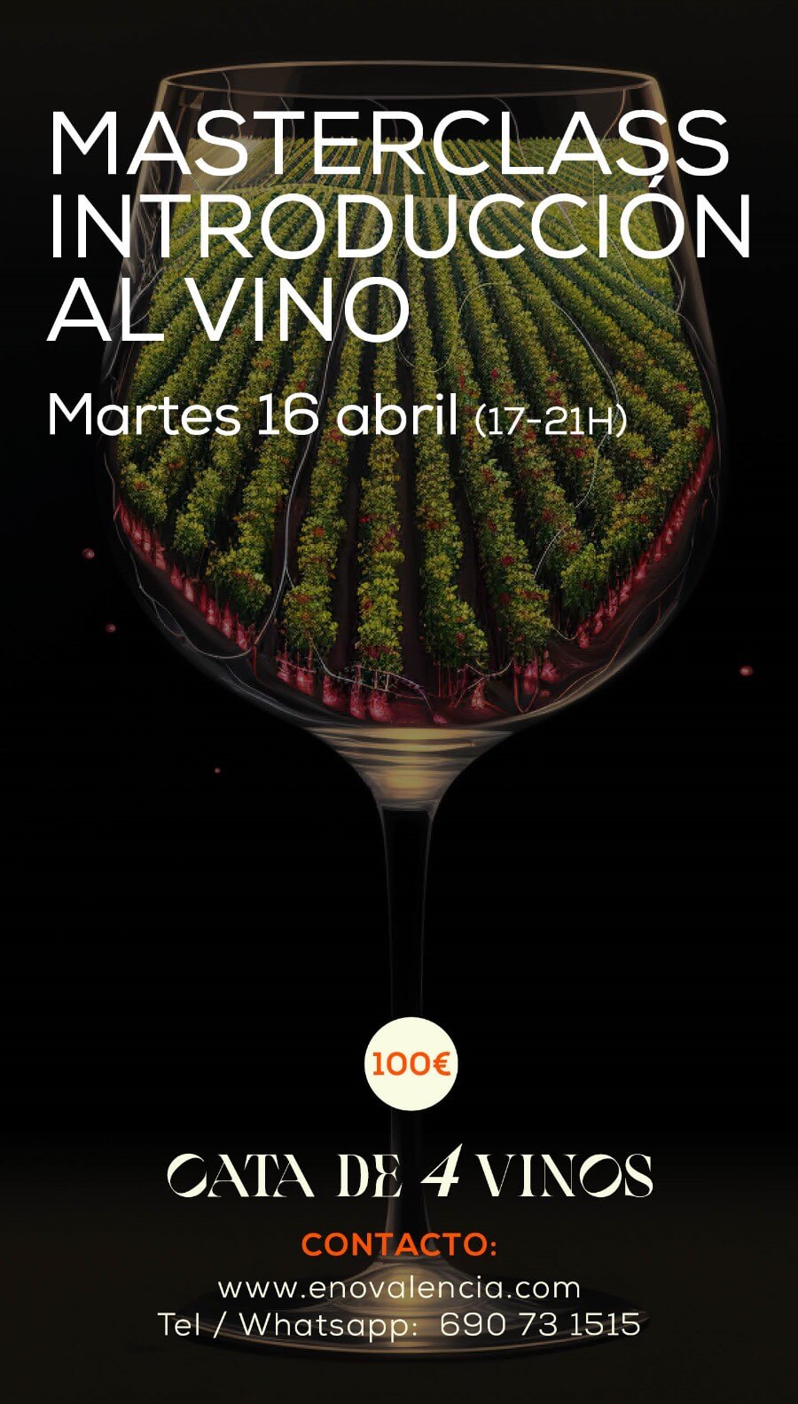 Eventos Masterclass Introducción al Vino EnoValencia - Cata, eventos y venta de vino 5
